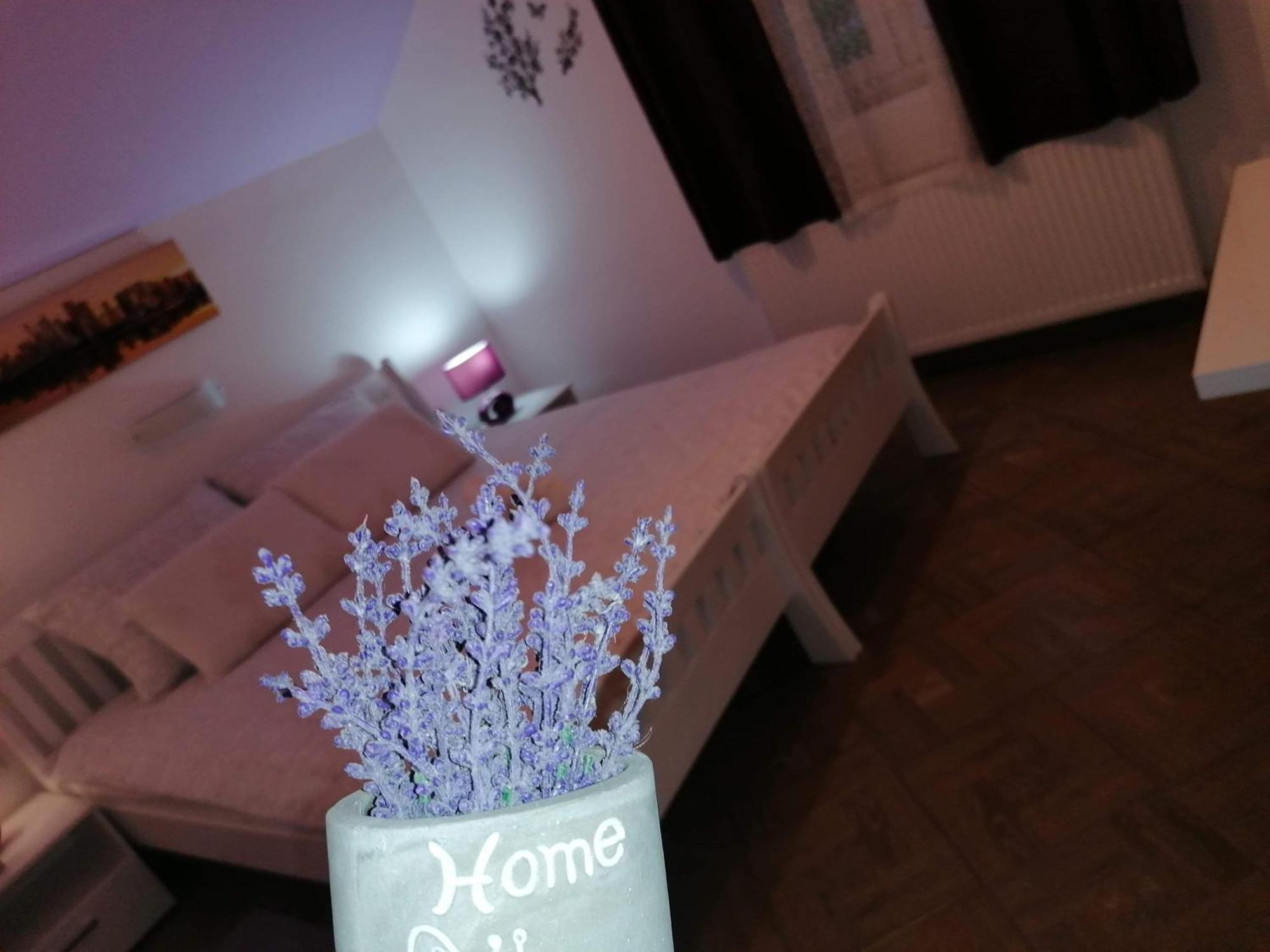 Guest House Macic Кореница Номер фото